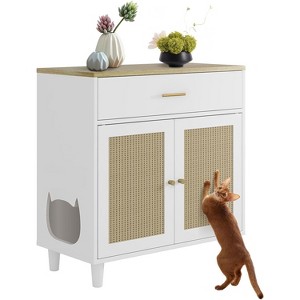 Cat Littler Box Enclosure, Litter Box Furniture Hidden with Scratching Board Doors & Storage Drawer, Cat House with End Table - 1 of 4