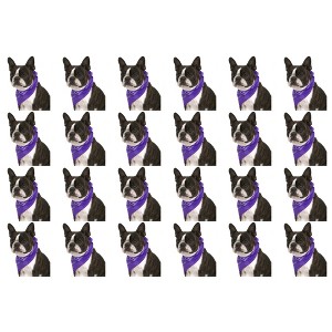 24 Pack Polyester Paisley Dog Bandanas Bulk Groomers Shelters Gifts - 1 of 4