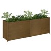 vidaXL Garden Planter 59.1"x19.7"x27.6" Solid Wood Pine - 3 of 4