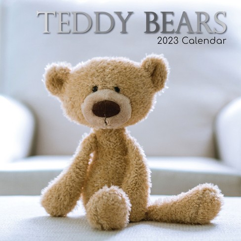 2023 Square Wall Calendar, Teddy Bears, 16-month Lifestyles Theme With 180  Reminder Stickers (12x12 In) : Target