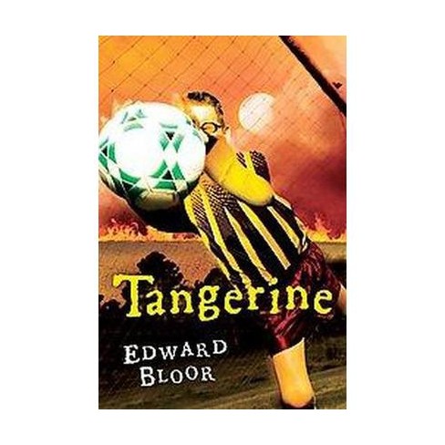 plot of tangerine by edward bloor