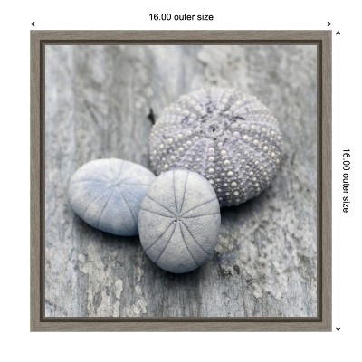 Gray and White Seashell Canvas Wall Art Print