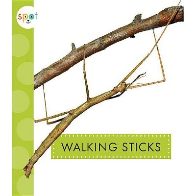 Walking Sticks - (Spot Creepy Crawlies) by  Nessa Black (Paperback)