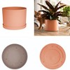 Bloem Mathers Round Resin Planter Pot Indoor and Outdoor Gardening - 3 of 4