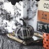Whisen Fabric Plaid Pumpkin, Holiday Halloween Decoration - Black & White - 4 of 4