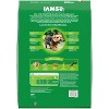 IAMS Proactive Health Chicken and Whole Grains Flavor Small Breed Dry Dog Food - 2 of 4