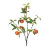 Orange Fruit Foliage Branch (Set of 6) - 2 of 2
