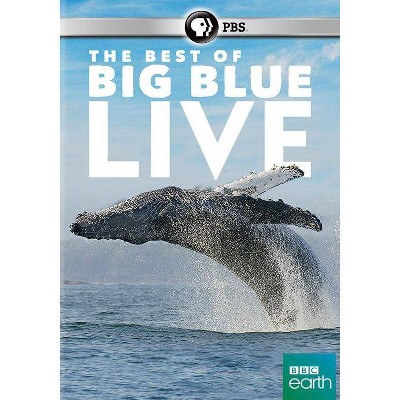 The Best of Big Blue Live (DVD)(2016)