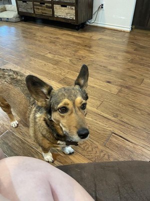 Guest review image 1 of 1, zoom in