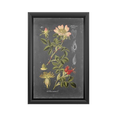 Trademark Fine Art-Vision Studio 'Midnight Botanical I' - Backlit LED Lightbox with Metal Frame - Ready to Hang with Anti-Glare Acrylic Cover