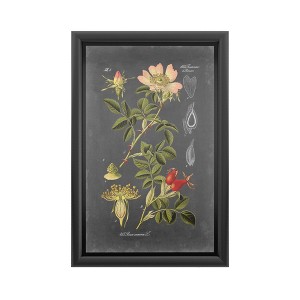 Trademark Fine Art-Vision Studio 'Midnight Botanical I' - Backlit LED Lightbox with Metal Frame - Ready to Hang with Anti-Glare Acrylic Cover - 1 of 4
