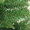 Northlight Full Buffalo Fir Artificial Christmas Tree - 5' - Unlit - image 2 of 2