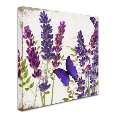 Trademark Fine Art -Color Bakery 'Lavender I' Canvas Art