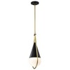 Nuvo Lighting Admiral 1 - Light Pendant in  Matte Black/Natural Brass - 3 of 4