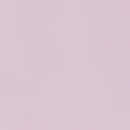 purple-lilac