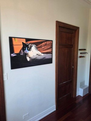 Guest review image 1 of 2, zoom in