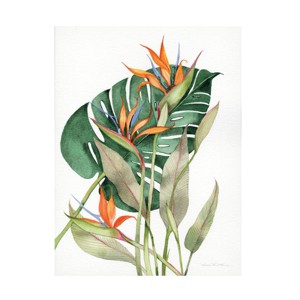 Trademark Fine Art -Kathleen Parr McKenna 'Botanical Birds of Paradise' Canvas Art - 1 of 4
