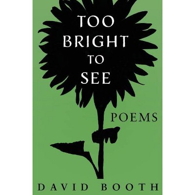 Too Bright to See - by  David Booth (Paperback)