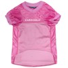  Louisville Cardinals Division Pink Officially Licensed T-Shirt  : Sports & Outdoors