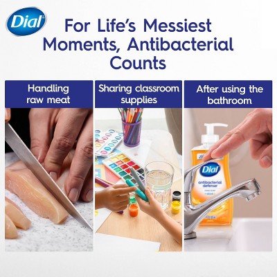 Dial Antibacterial Defense Liquid Hand Soap - White Tea - 11 fl oz/4pk