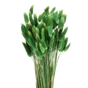 Unique Bargains Decorative Natural Dried Floral Bunny Tail Artificial Plants 120 Pcs - 1 of 4