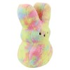 Peeps 17" Easter Rabbit Plush Tie Dye - 2 of 3