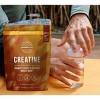 Primal Harvest Creatine Powder Supplement for Men and Women's Fitness, For Workouts, and Muscle Growth, 1 Pouch (60 Servings) - 3 of 3