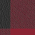 colorado rapids