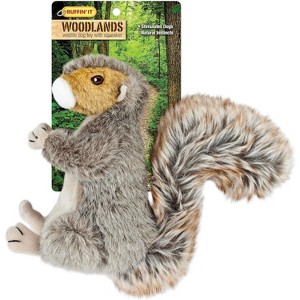 Ruffin' It Woodlands Plush Dog Toy Squirrel Large - 1 of 4
