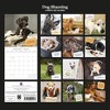 2026 Square Wall Calendar, Dog Shaming, 16-Month Humor Theme with 180 Reminder Stickers (12x12 In) - 4 of 4