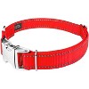 Country Brook Petz Premium Reflective Nylon Dog Collar - 2 of 4