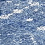 navy chairs
