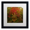 Trademark Fine Art -Kurt Shaffer 'Why I Love Autumn 2' Matted Framed Art - 2 of 4