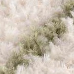 off white, lime green