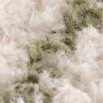 off white, lime green