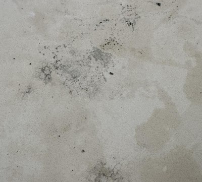 Guest review image 1 of 4, zoom in