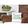 C&F Home 10" x 10" St. Patrick's Day "You're My Lucky Charm" Embroidered Small/Petite Accent Throw Pillow - 2 of 4