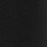 washington state cougars