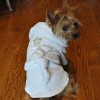 Doggie Design Luxury Dog Bath Robe - Gold Crown - 2 of 3
