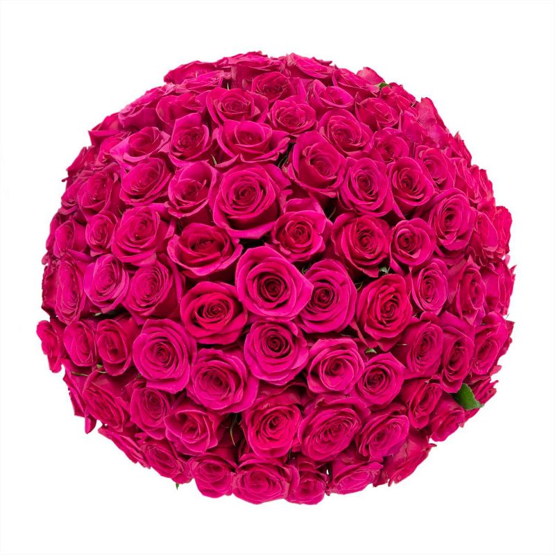 Fresh Cut 100-stem Hot Pink Rose Bouquet, 2 of 7