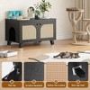 FURNIinspire Pet Crates and Houses, Hidden Cat Crates with Storage Removable Scratcher, Modern Pet Crates for Home, Black, 31.5"*19.7"*19.7" - 3 of 4