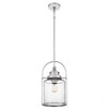 Quoizel Lighting Payson 1 - Light Pendant in  Brushed Nickel - 3 of 3