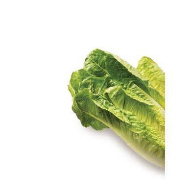 Fresh Romaine Hearts - 22oz Bag