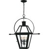 Rue De Royal 4-Light Earth Black Outdoor Hanging Lantern - 4 of 4