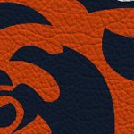 chicago bears