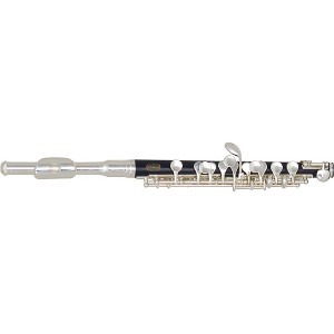 Bundy BPC-300 Piccolo Standard - 1 of 4