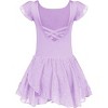 Arshiner Girls Ruffle Sleeve Ballet Dance Dress Tutu Skirted Leotard - 4 of 4