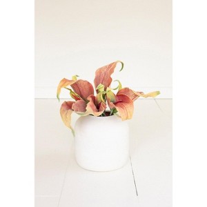 Decorative Faux Plant Stem – 23" Tall Botanical Accent by Kalalou - 1 of 3