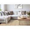 Rug Branch Natural Tonal/Solid, Trellis Beige Indoor Area Rug - 2 of 4