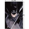 Trends International DC Comics - Batman - Portrait Unframed Wall Poster Prints - 3 of 4